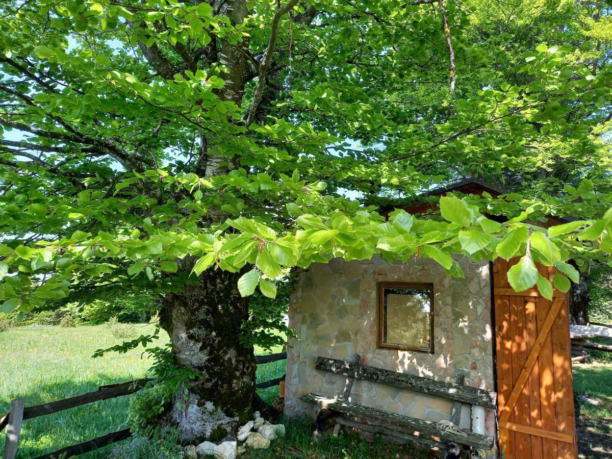 Holiday home Montecasa